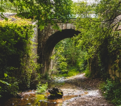 Evolución histórica del Camino