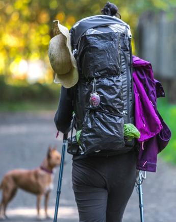 Caminho Português com Cão