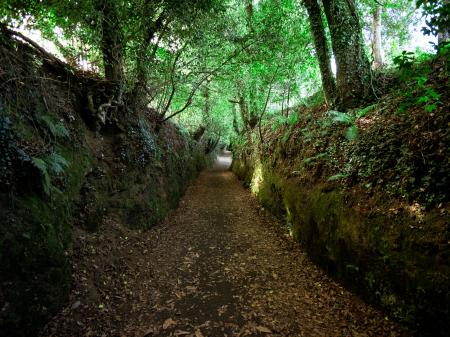 Variante Espiritual do Caminho Português