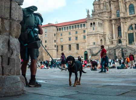 Camino Portugués con Perro