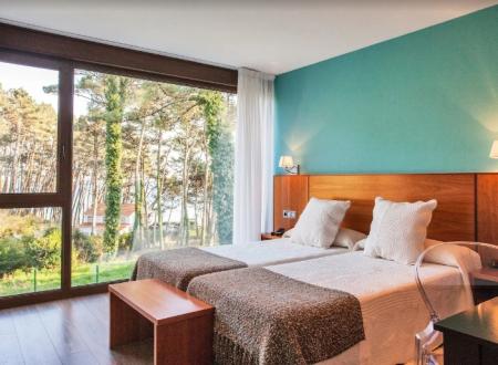 Camino Portugués con Perro