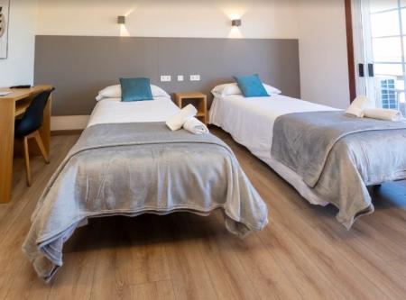 Camino Portugués con Perro