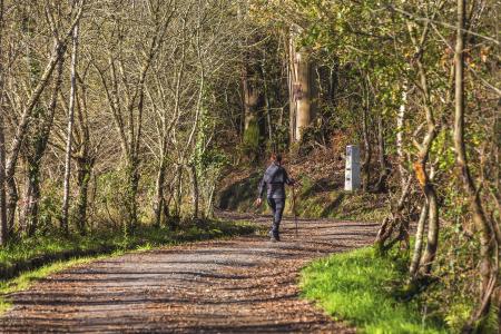 Camino Portugués con Perro
