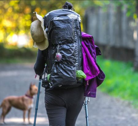Camino Portugués con Perro