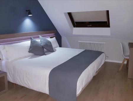 Camino Portugués con Perro